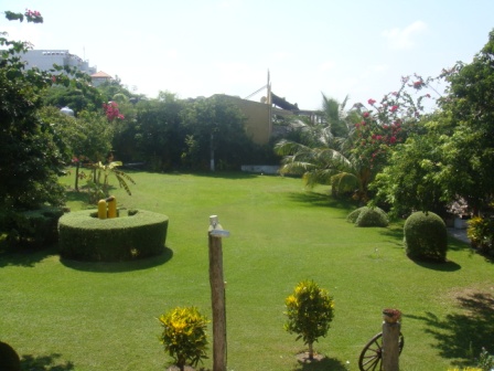 Garden
