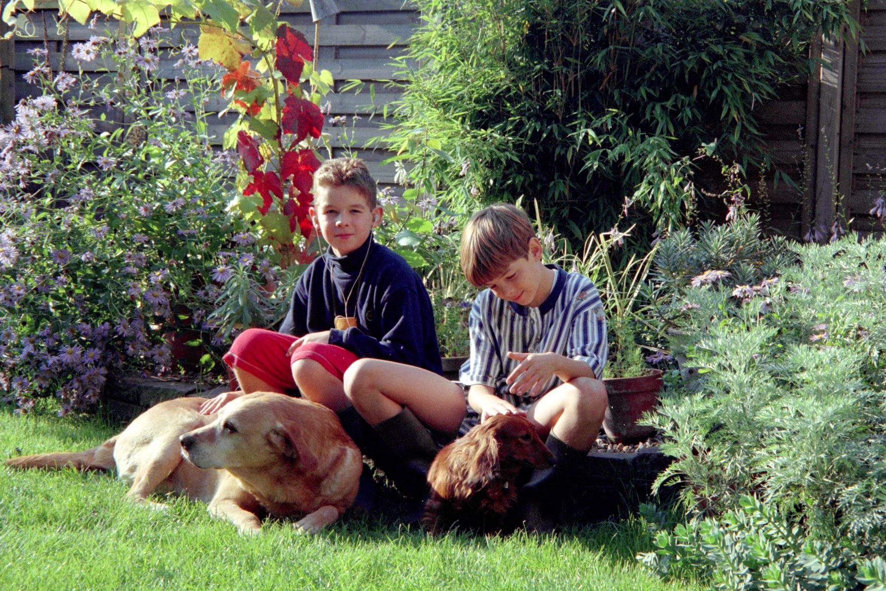 tuin_201.JPG