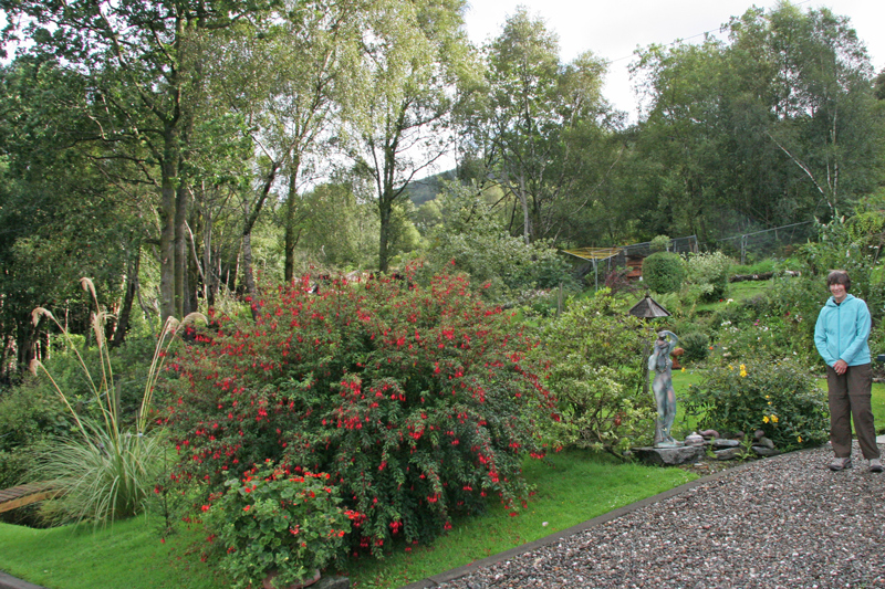 Garden at Braemor B&B