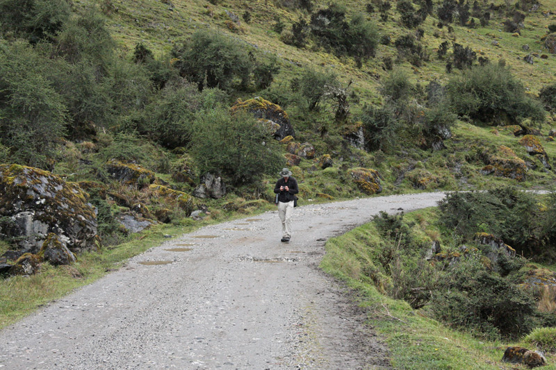 Fabian strolls up the road.