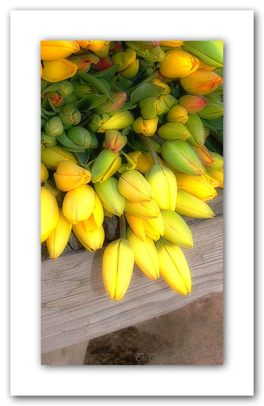 cheerful thoughts