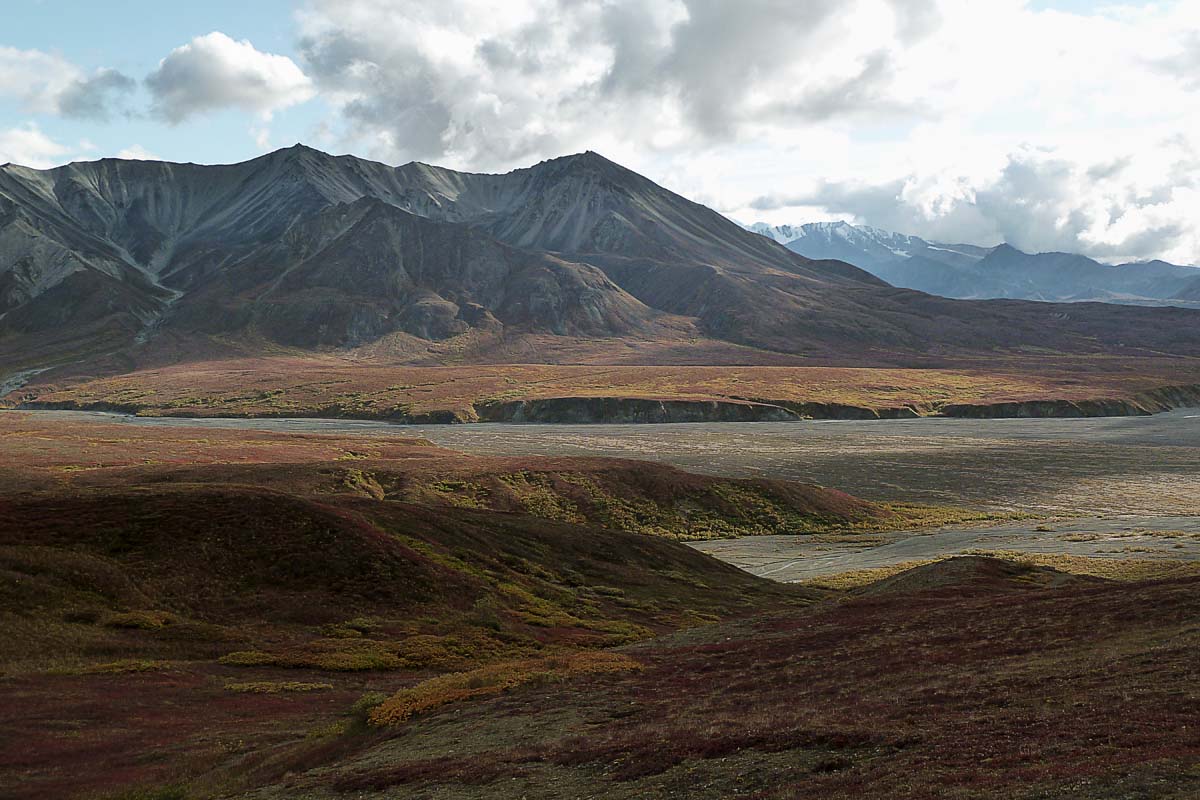 Parc Denali /  Denali Park