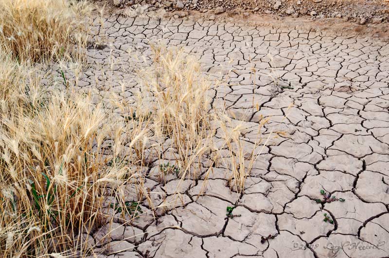 its a dry heat
