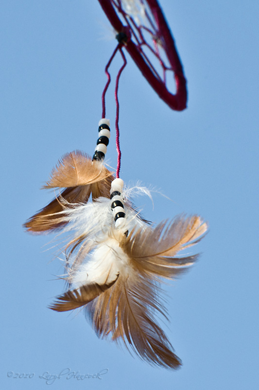 5 of 5 alternate - feathers