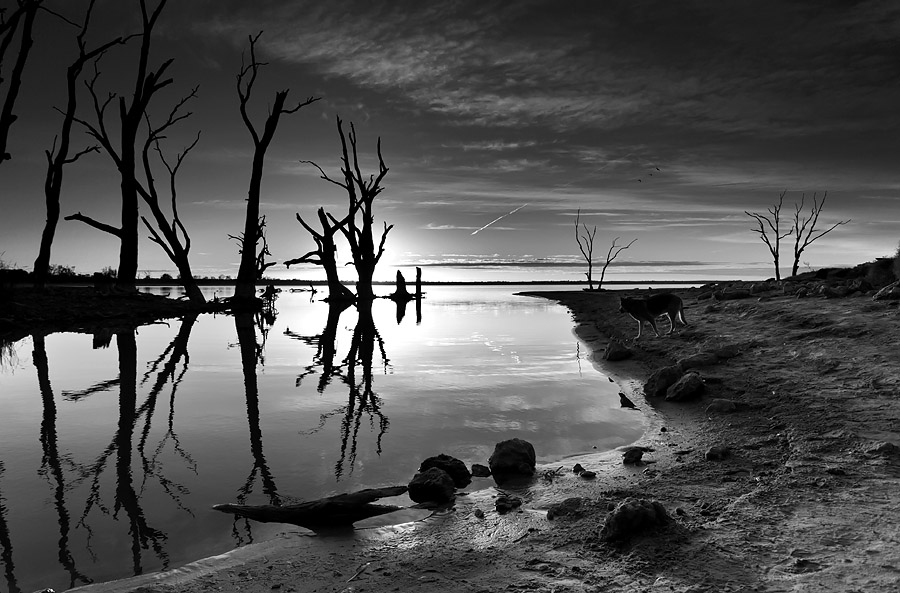 Lake Bonney Sunrise