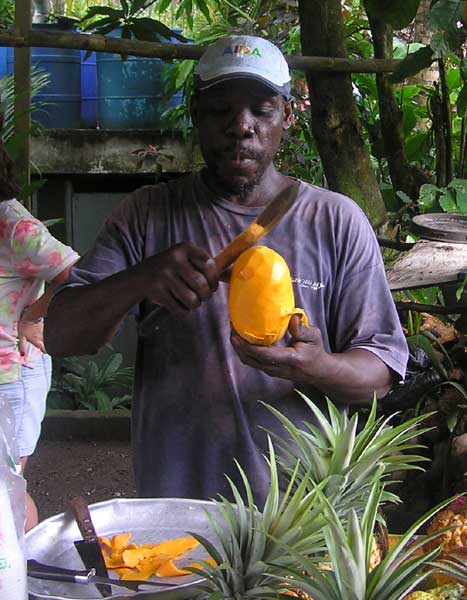 Mr. Nices Fruit Stand