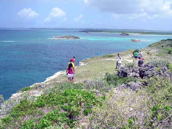 Great Bird Island