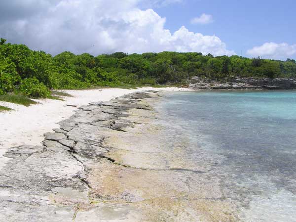 Great Bird Island