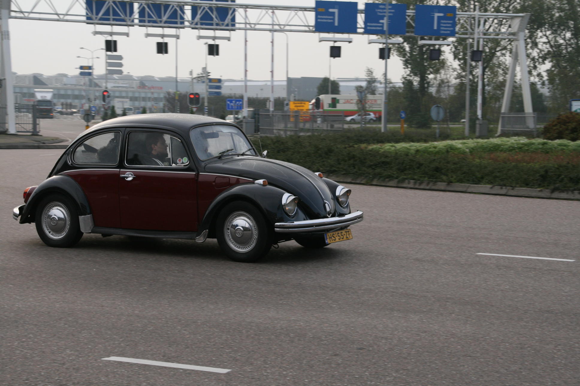 0810300206.JPG