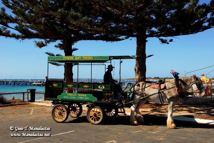 Tumby Bay