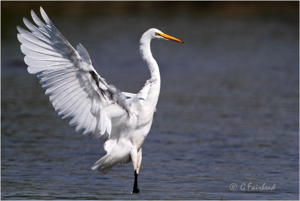 Stick The Landing