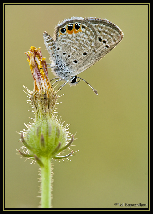 Picture 28255-Edit.jpg