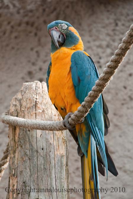 DSC_7374.jpg