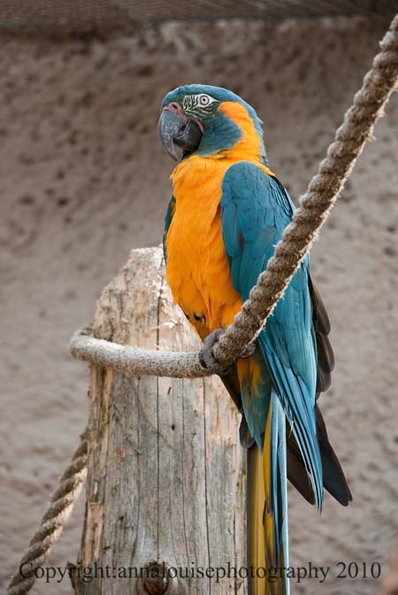 DSC_7375.jpg