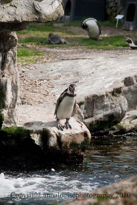 DSC_7397.jpg