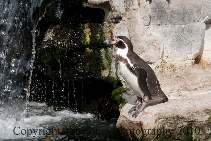 DSC_7399.jpg
