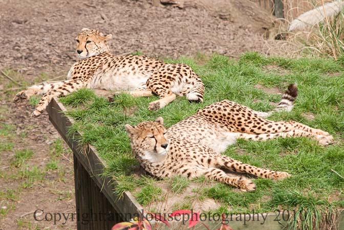 DSC_7486.jpg
