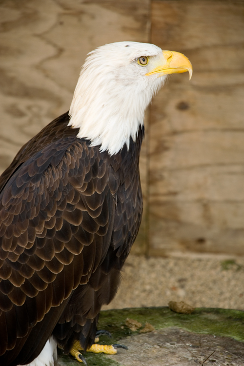 DSC_2984.jpg