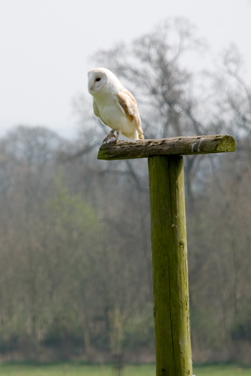 DSC_3136.jpg