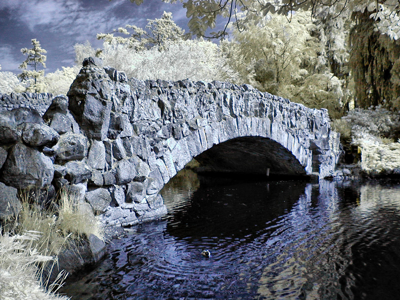 Beacon Hill Park