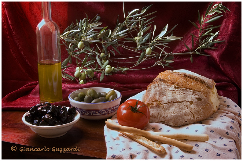 Olive tree, ancient and precious gift