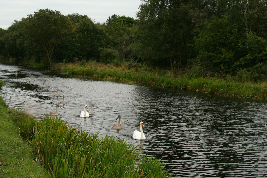 Forth and Clyde Canal