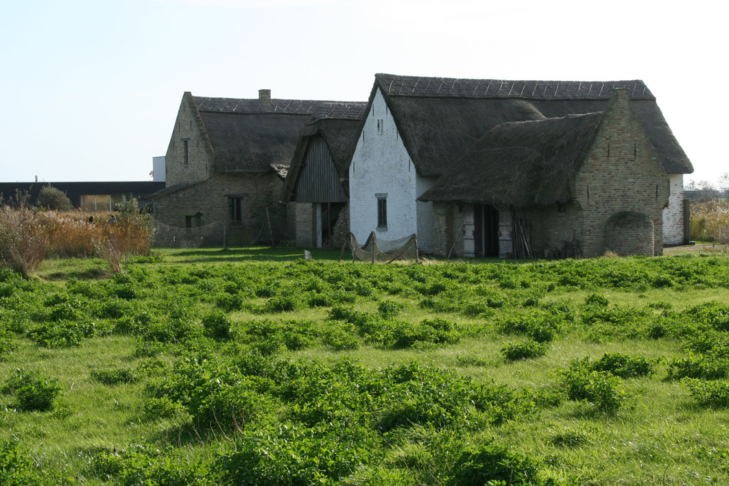 IMG_8500.JPG