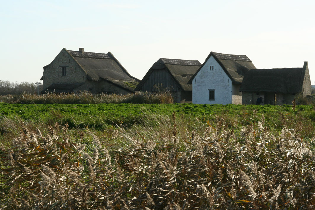 IMG_8564.JPG
