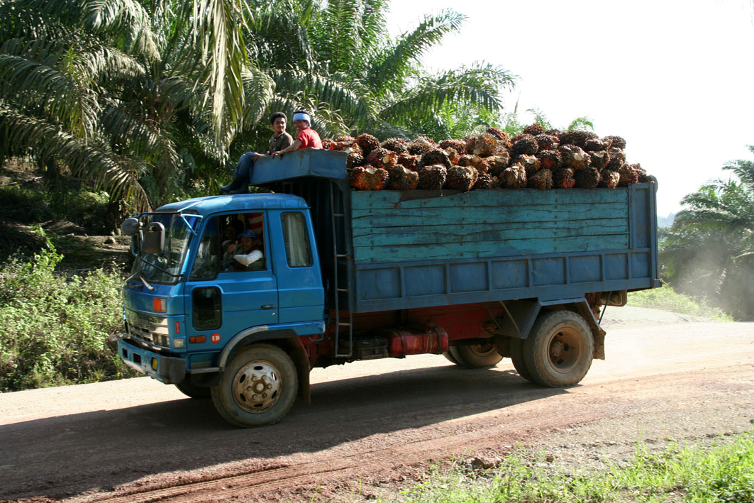 Palm Oil (to be)