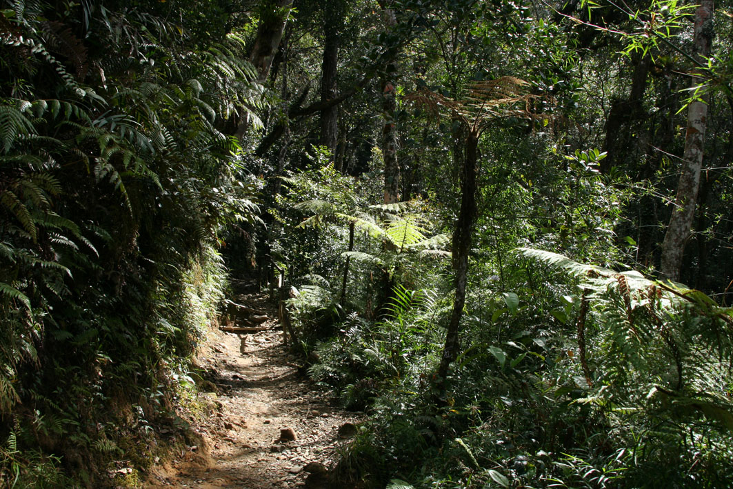 Climbing Mount Kinabalu