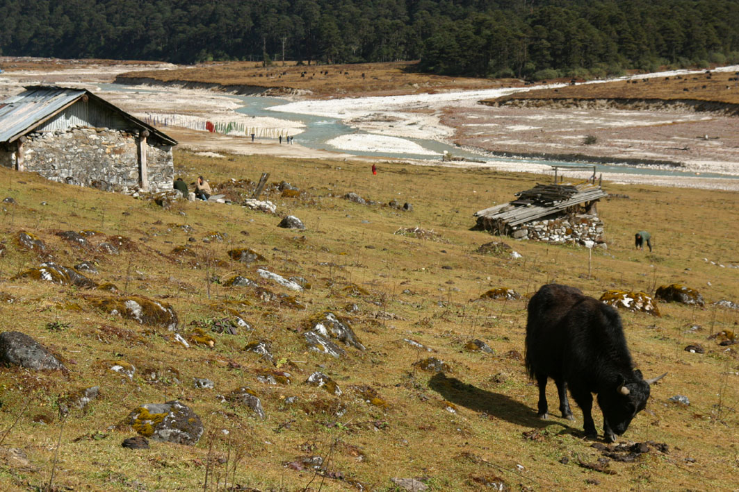 Yumtang Valley