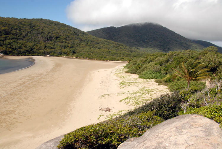 Cow Bay Queensland Australia