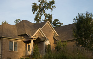 DSC_6100_edited-1-House-in-.jpg