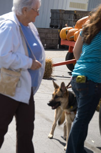 DSC_7521_edited-1--Hub--Far.jpg