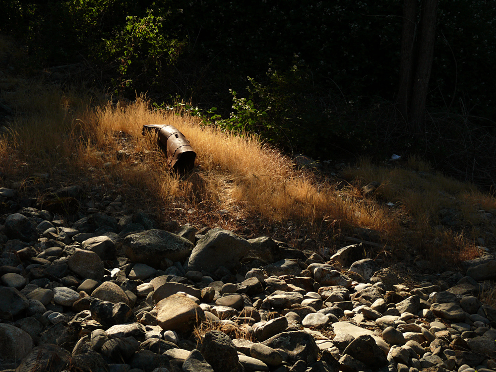 Gold Rush remnant, Marshall Gold Discovery State Historic Park, California, 2008