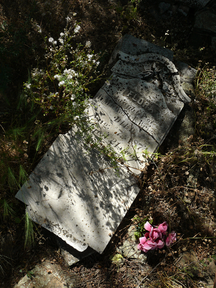 Flora, Jackson, California, 2008