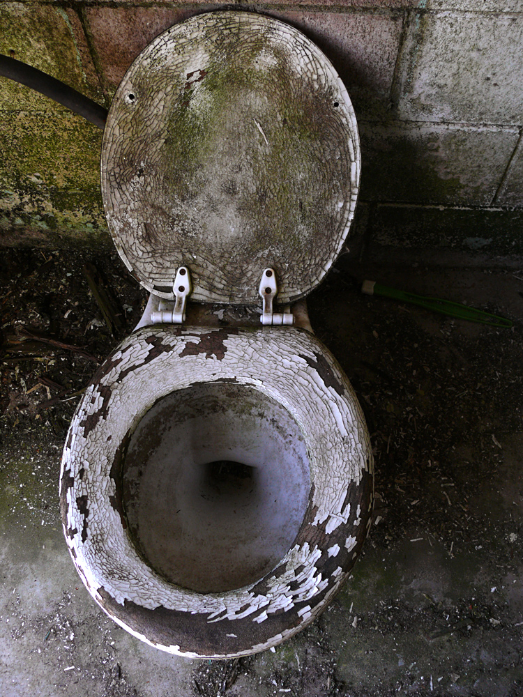 Rest room, Placerville, California, 2008