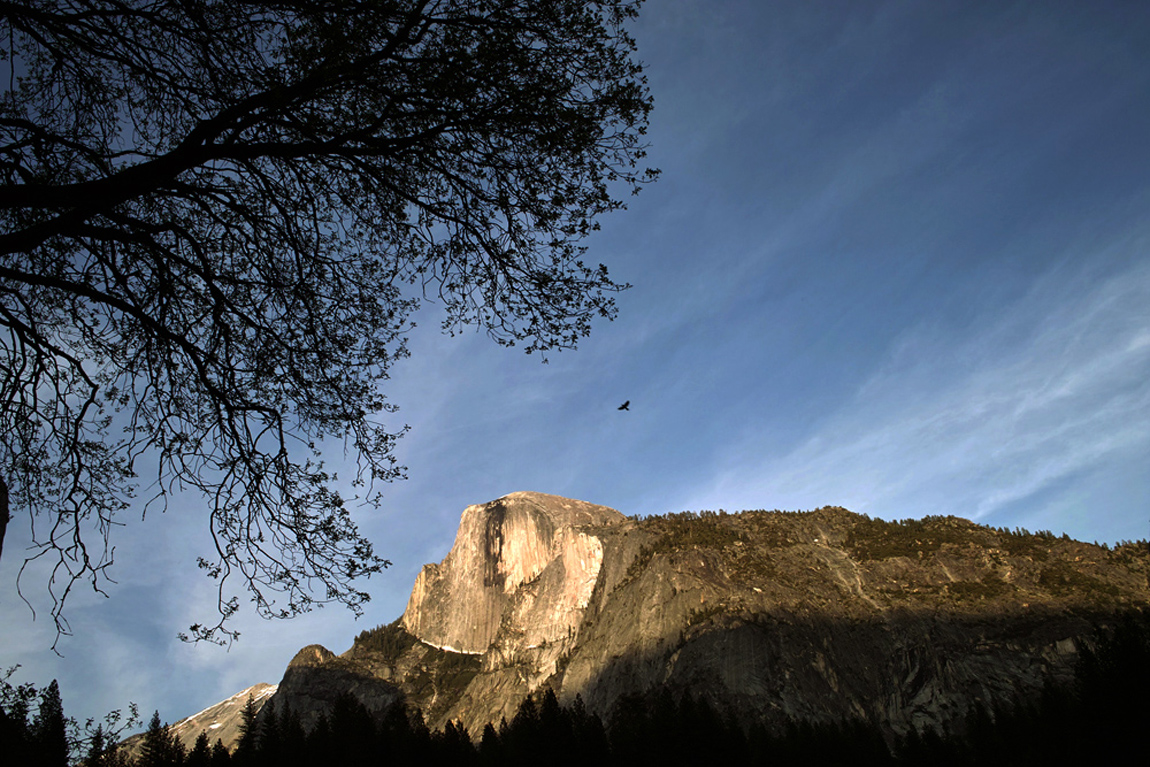 Hawk over Half Dome, Yosemite National Park, California, 2008