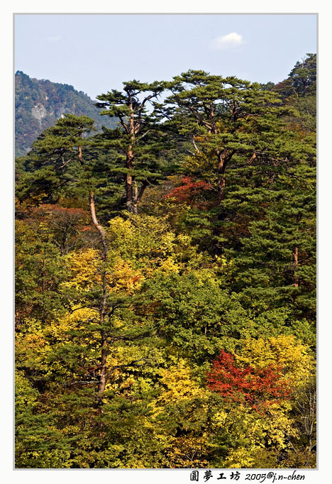 DSC_2373.jpg
