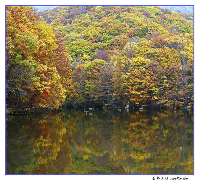 DSC_268788.jpg