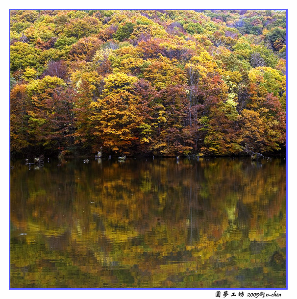DSC_268990.jpg