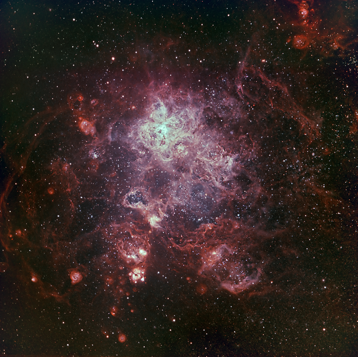 Tarantula Nebula BRC 250 Ha O111 135 120 V2 .jpg