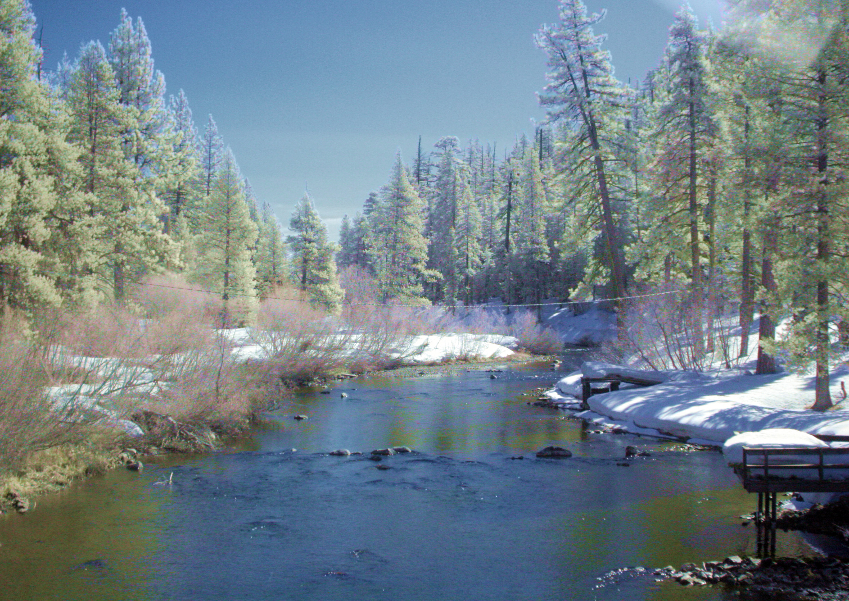 Lake Tahoe stream 2 IR Colour Composite.jpg