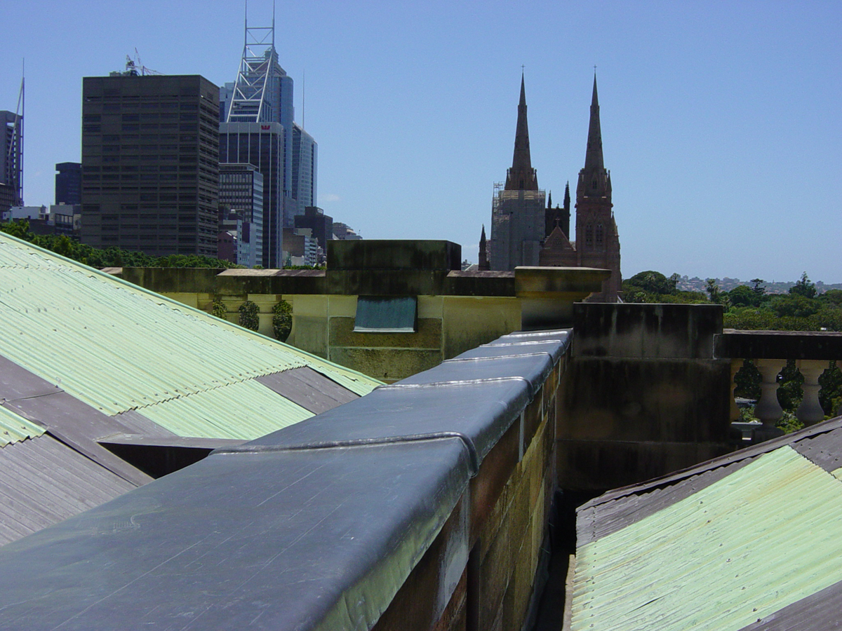 Australian Museum leadwork.JPG