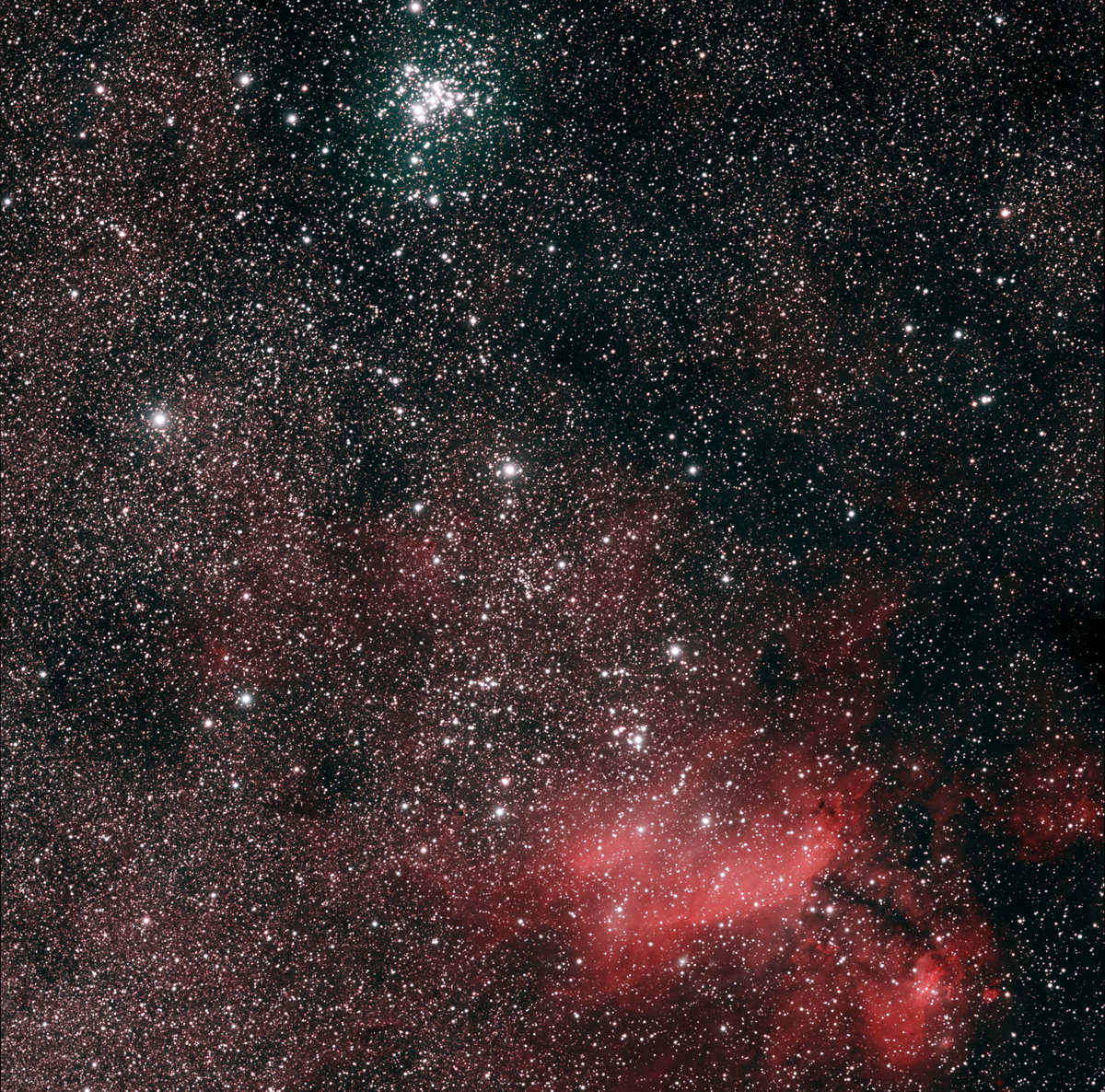 Butterfly Cluster AP140