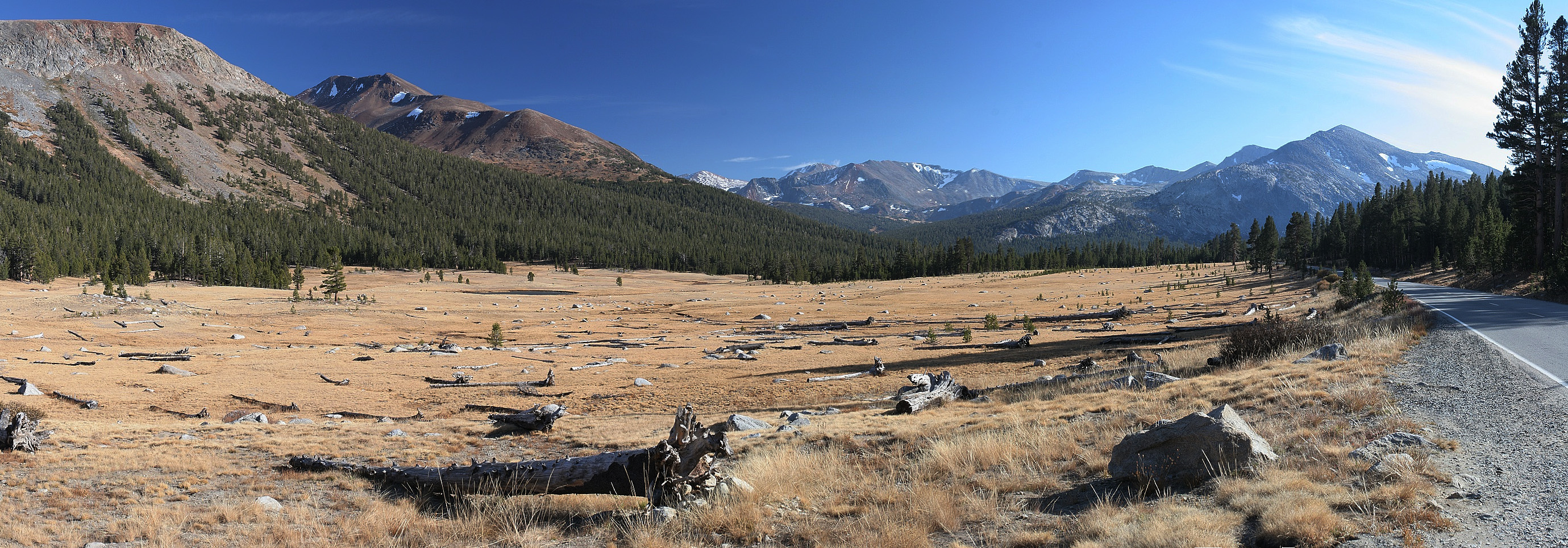 Tioga Road (Yosemite)