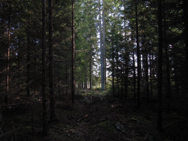 IMG_1631_1.JPG