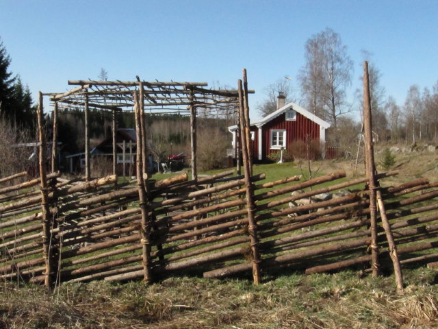 IMG_3008_1.JPG