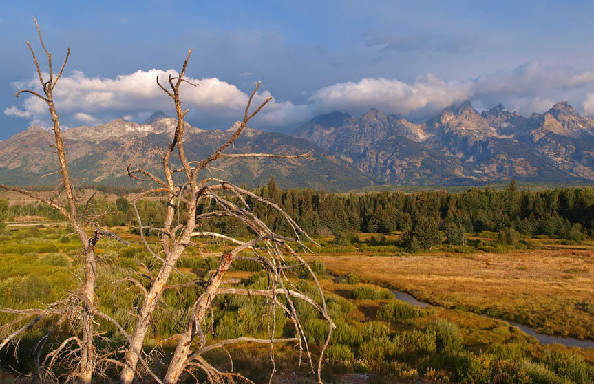 View across Beaver Ponds from Antelope Flats