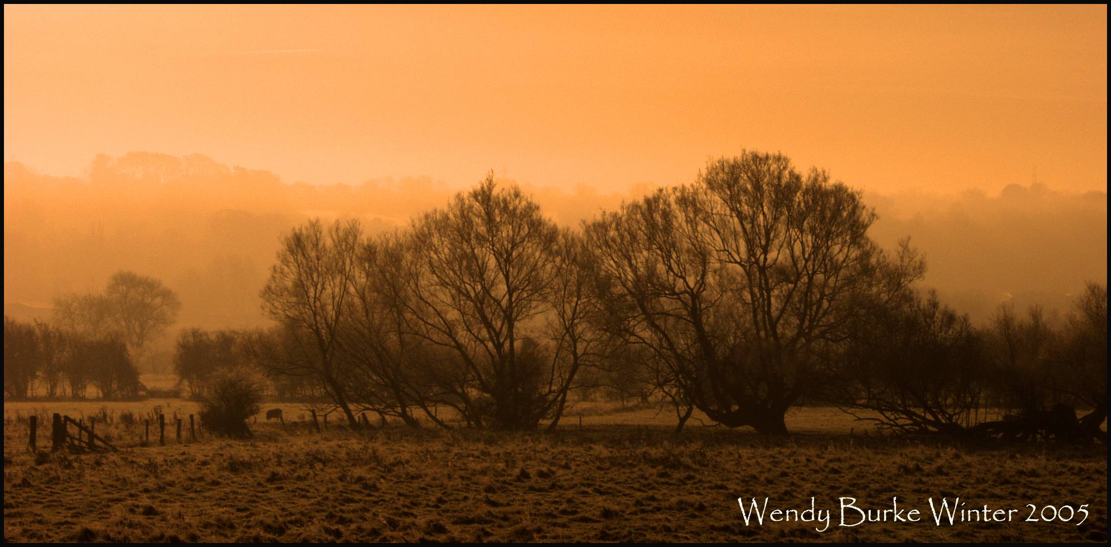 Frosty Cold view